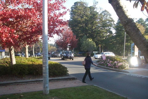 PRIVATE All-Day Blue Mountains Tour With Professional Guide For Up To 4 People - Kalgoorlie Accommodation 1