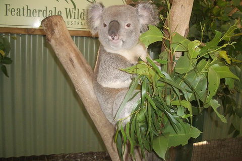 Blue Mountains Private Full-Day Tour From Sydney With Cruise - Kalgoorlie Accommodation 0