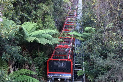 Blue Mountains Private Full-Day Tour From Sydney With Cruise - Kalgoorlie Accommodation 5