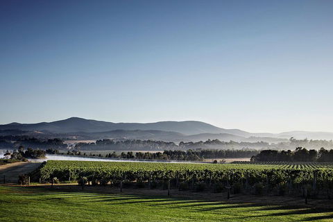 Chauffeur Driven Yarra Valley Group Wine Tour - Up To 7 - Kalgoorlie Accommodation 2