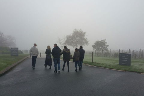 Chauffeur Driven Yarra Valley Group Wine Tour - Up To 7 - Kalgoorlie Accommodation 4