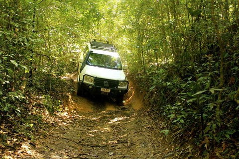 Barron Gorge And Kuranda National Park Half Day Rainforest And Waterfall 4WD Tour From Cairns - Kalgoorlie Accommodation 2
