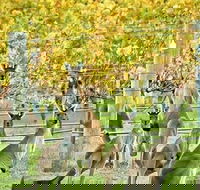 Margaret River Indulge and Discover Day Tour - Kalgoorlie Accommodation
