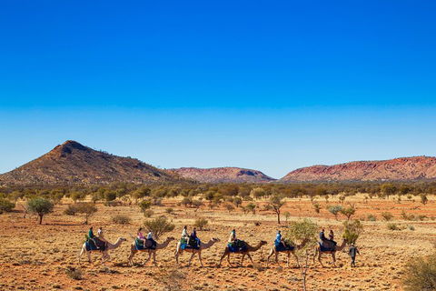 Alice Springs Camel Tour - Kalgoorlie Accommodation 0