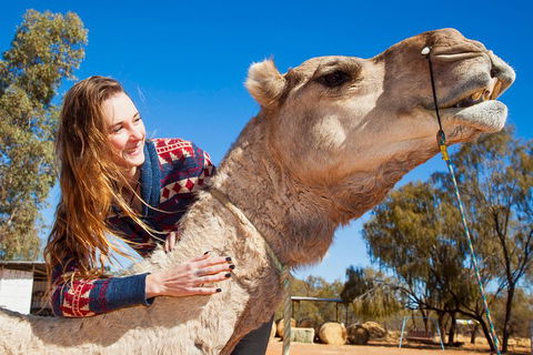 Alice Springs Camel Tour - Kalgoorlie Accommodation 2