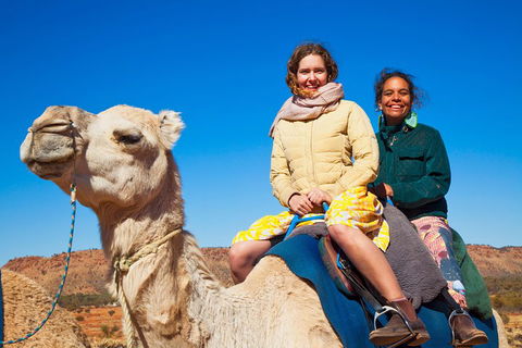 Alice Springs Camel Tour - Kalgoorlie Accommodation 3