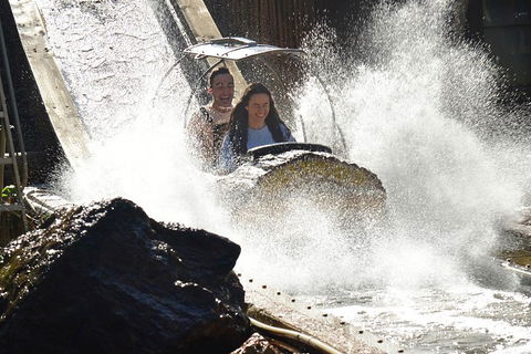 Theme Park Transfer From Brisbane - Kalgoorlie Accommodation 1