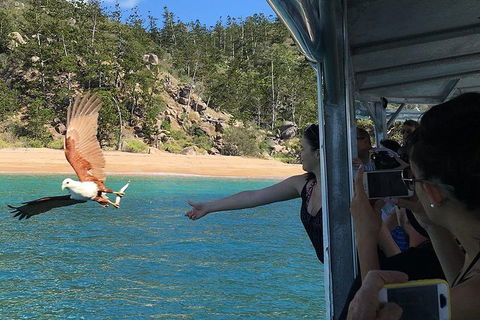 Aquascene Magnetic Island Discovery Tour - Kalgoorlie Accommodation 2