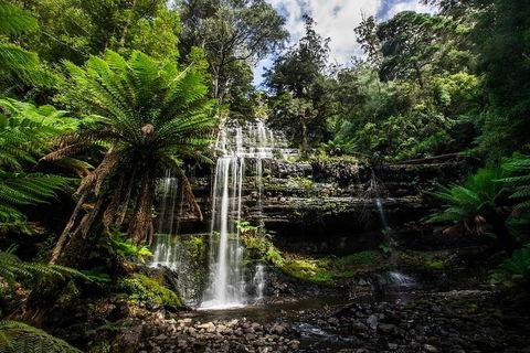 3-Day Tour To The Falls, Mountains, Lake & More Of West Coast Tasmania - Kalgoorlie Accommodation 4