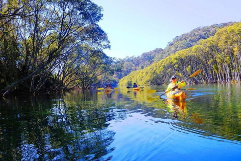 Half-Day Sydney Middle Harbour Guided Kayaking Eco Tour - Kalgoorlie Accommodation 1