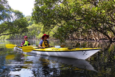 Half-Day Sydney Middle Harbour Guided Kayaking Eco Tour - Kalgoorlie Accommodation 3