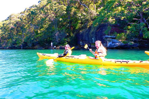 Half-Day Sydney Middle Harbour Guided Kayaking Eco Tour - Kalgoorlie Accommodation 4