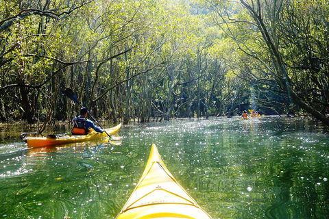 Self-Guided Sydney Middle Harbour Kayak 3 Hour Tour By Double Kayak - Kalgoorlie Accommodation 3