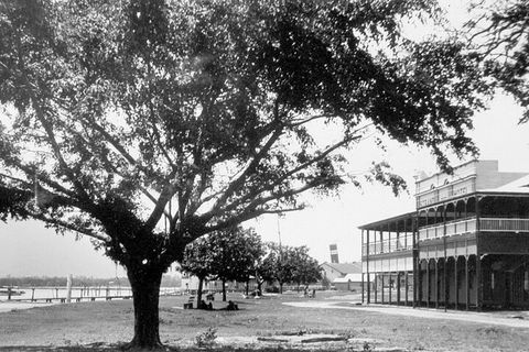 Cairns History Walking Tour - Kalgoorlie Accommodation 2