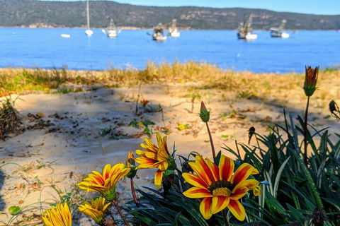 Central Coast Explorer With 'Personalised Sydney Tours' - Kalgoorlie Accommodation 2