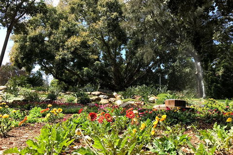 Discover Sydney - Botanic - Kalgoorlie Accommodation 3