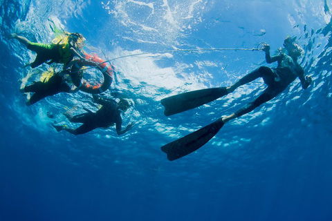 Passions Of Paradise Great Barrier Reef Snorkel And Dive Cruise From Cairns By Luxury Catamaran - Kalgoorlie Accommodation 2