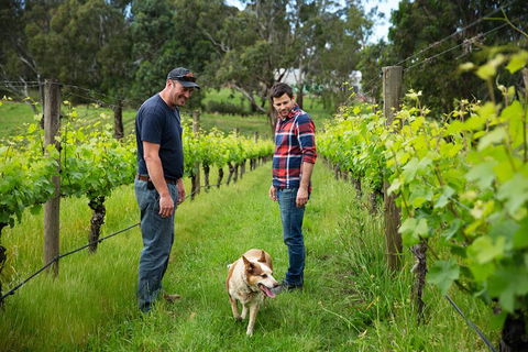 LGBT+ Friendly Full Day Yarra Valley & Dandenong Ranges Private Tour - Kalgoorlie Accommodation 4