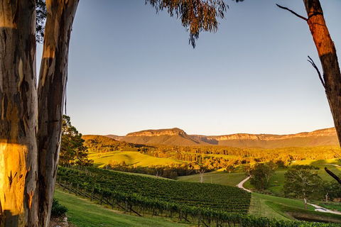 Taste Of The Blue Mountains - Lunch & Wine Tasting, Beer, Cider & Gin Tasting - Kalgoorlie Accommodation 1