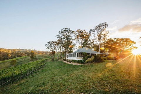 Taste Of The Blue Mountains - Lunch & Wine Tasting, Beer, Cider & Gin Tasting - Kalgoorlie Accommodation 2