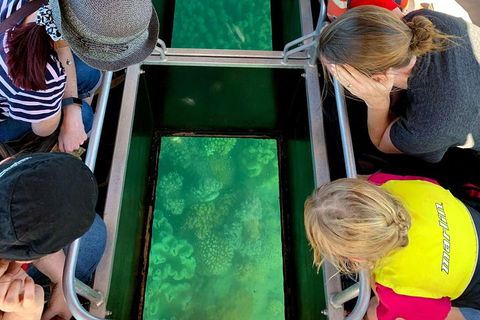 Airlie Beach Glass Bottom Boat Tour - Kalgoorlie Accommodation 5