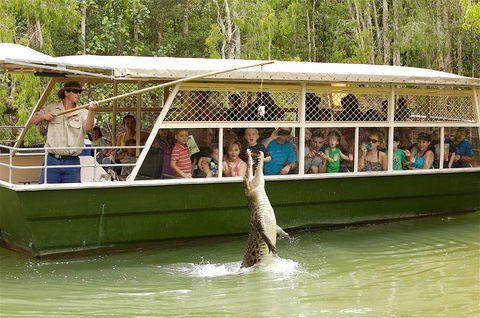 Hartley's Crocodile Adventure Half-Day Tour - Kalgoorlie Accommodation 0