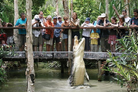 Hartley's Crocodile Adventure Half-Day Tour - Kalgoorlie Accommodation 1