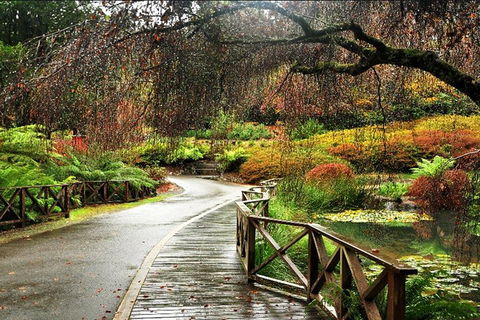 Discover Tour: Dandenong Ranges & William Ricketts Sanctuary - Kalgoorlie Accommodation 3