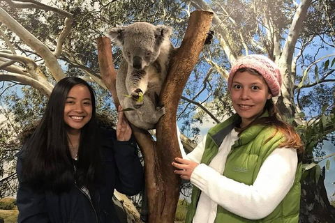 Australia Multi-City Attractions Pass - Kalgoorlie Accommodation 3