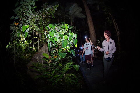 Let's Go Buggin & Let's Go Shroomin - Photography & Nature Walking Tours - Kalgoorlie Accommodation 4