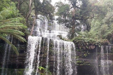 6-Day Hearty Tasmania Tour (Tasmania In A Circle) - Kalgoorlie Accommodation 0