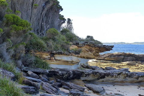 Day Trip To Cronulla & The Royal National Park - Kalgoorlie Accommodation 4