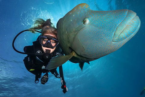 Great Barrier Reef Snorkeling And Diving Cruise From Cairns - Kalgoorlie Accommodation 0
