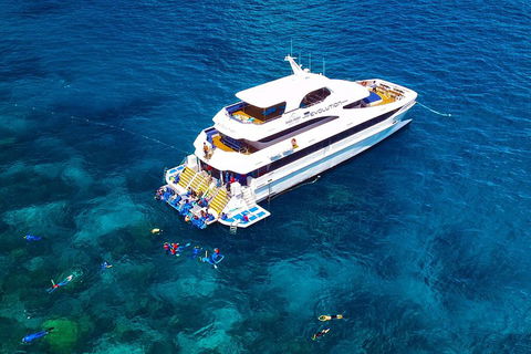 Great Barrier Reef Snorkeling And Diving Cruise From Cairns - Kalgoorlie Accommodation 5