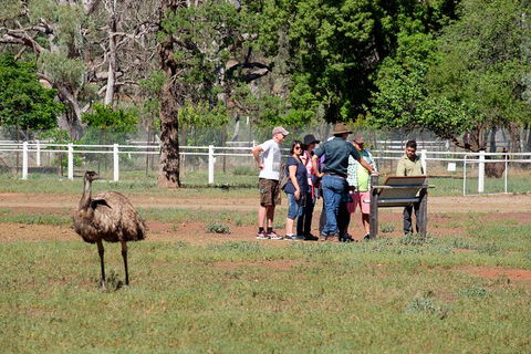 Yura Udnyu - Our Culture, Your Culture (Aboriginal Cultural Walk) - Kalgoorlie Accommodation 1