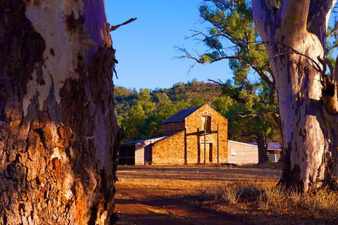 Yura Udnyu - Our Culture, Your Culture (Aboriginal Cultural Walk) - Kalgoorlie Accommodation 4
