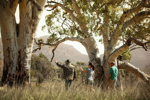 Yura Udnyu - Our Culture, Your Culture (Aboriginal Cultural Walk) - Kalgoorlie Accommodation 5