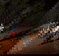 Alice Springs Desert Park Nocturnal Tour - Kalgoorlie Accommodation