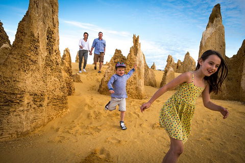 Full-Day Pinnacles Desert And Yanchep National Park Tour From Perth - Kalgoorlie Accommodation 0
