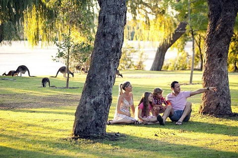 Full-Day Pinnacles Desert And Yanchep National Park Tour From Perth - Kalgoorlie Accommodation 3