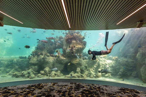 Whitehaven Beach And Daydream Island Cruise - Kalgoorlie Accommodation 4