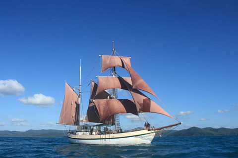 Sydney Harbour Tall Ship Whale & Sail - Whale Watching Cruise - Kalgoorlie Accommodation 1