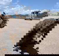 Magnetic Island Tour Maggie Comprehensive - Kalgoorlie Accommodation