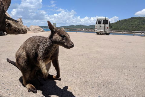 Magnetic Island Tour: Maggie Comprehensive - Kalgoorlie Accommodation 0