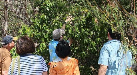 Magnetic Island Tour: Maggie Comprehensive - Kalgoorlie Accommodation 4