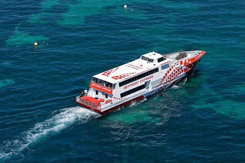 Discover Rottnest With Ferry & Bus Tour From Perth Or Fremantle - Kalgoorlie Accommodation 3