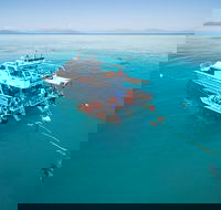 Ocean Freedom Great Barrier Reef Personal Luxury Snorkel  Dive Cruise Cairns - Kalgoorlie Accommodation
