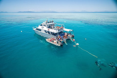 Ocean Freedom Great Barrier Reef Personal Luxury Snorkel & Dive Cruise, Cairns - Kalgoorlie Accommodation 0