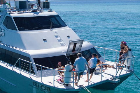 Ocean Freedom Great Barrier Reef Personal Luxury Snorkel & Dive Cruise, Cairns - Kalgoorlie Accommodation 1
