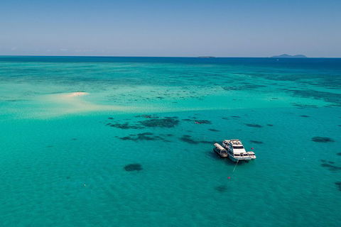 Ocean Freedom Great Barrier Reef Personal Luxury Snorkel & Dive Cruise, Cairns - Kalgoorlie Accommodation 2